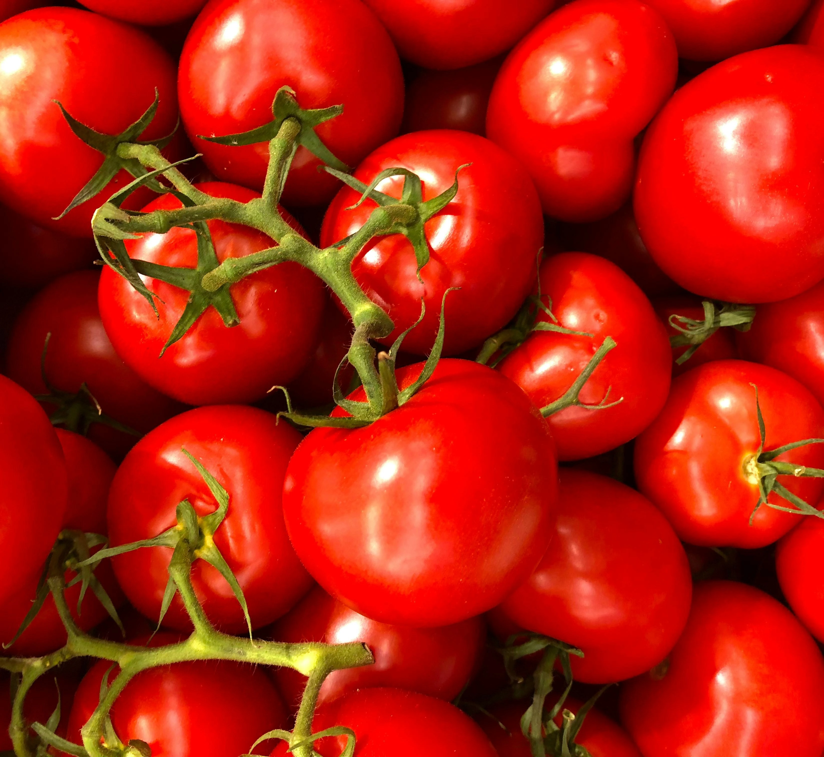 Passata pomidorowa, pulpa i przecier – poznaj różnice i zastosowanie