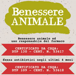 Szynka dojrzewająca z San Daniele 70 g – Levoni – Prosciutto di San Daniele DOP 18M